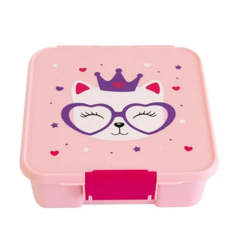 Best Bento 5 Lunch Boxes On-The-Go Feeding