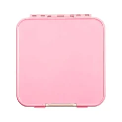 Best Bento 5 Lunch Boxes On-The-Go Feeding