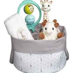 Outlet Birth Basket Gift Set Sensory Toys