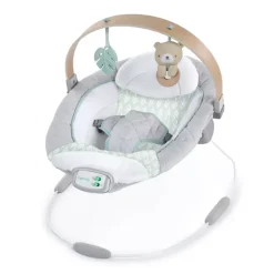 Clearance Cozy Spot Soothing Bouncer Bouncers