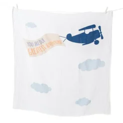 Sale Milestone Blanket & Cards Milestones