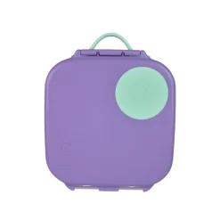 Online Mini Lunchbox On-The-Go Feeding