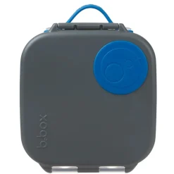 Online Mini Lunchbox On-The-Go Feeding