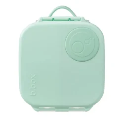 Online Mini Lunchbox On-The-Go Feeding