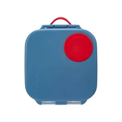 Online Mini Lunchbox On-The-Go Feeding