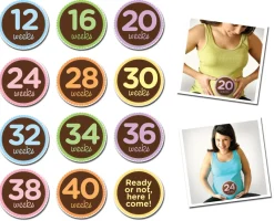 Outlet - Oh Sew Ready Milestones