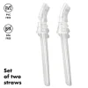 Water Bottle Replacement Straw - 2 pack Tableware