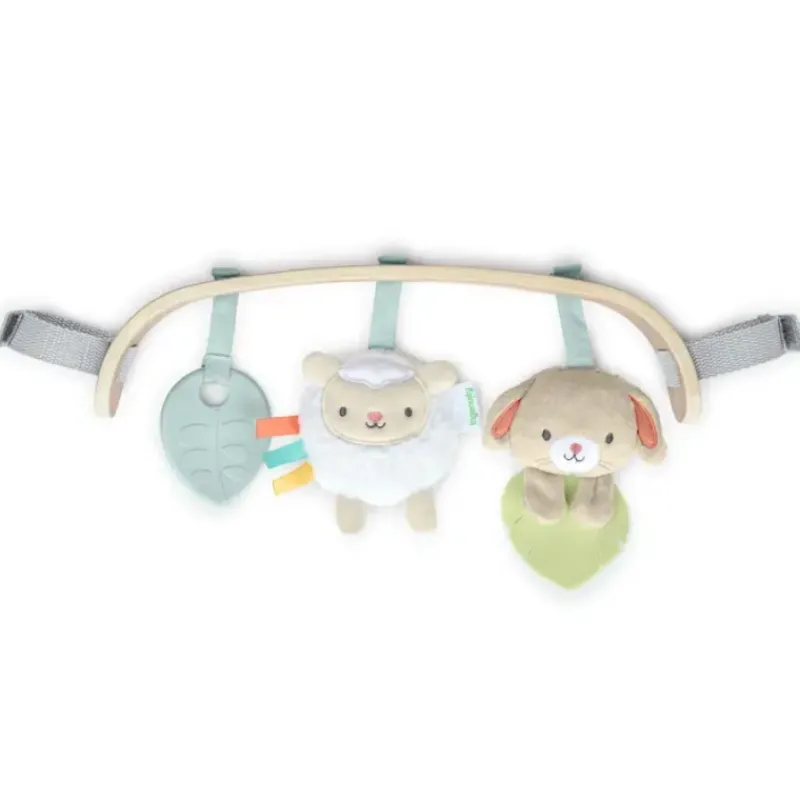 Clearance Wonder & Wood Carrier Toy Bar Activity Toys